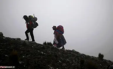29413_405