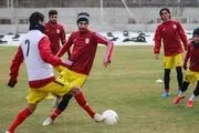 تصاویری از سرمربیگری مسعود شجاعی در تراکتور