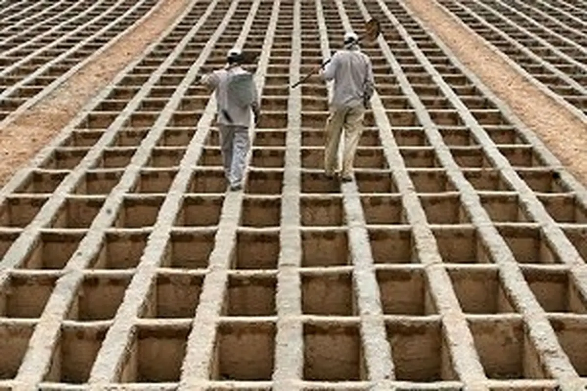 توافق بر سر قطعه زمینی 450 هکتاری برای توسعه فاز دوم بهشت زهرا (س)