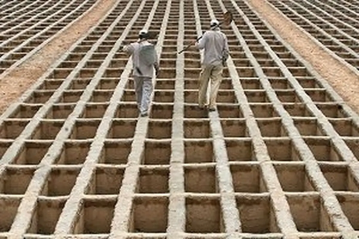 توافق بر سر قطعه زمینی 450 هکتاری برای توسعه فاز دوم بهشت زهرا (س)