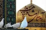 عکس پروفایل به مناسبت شهادت امام رضا(ع)