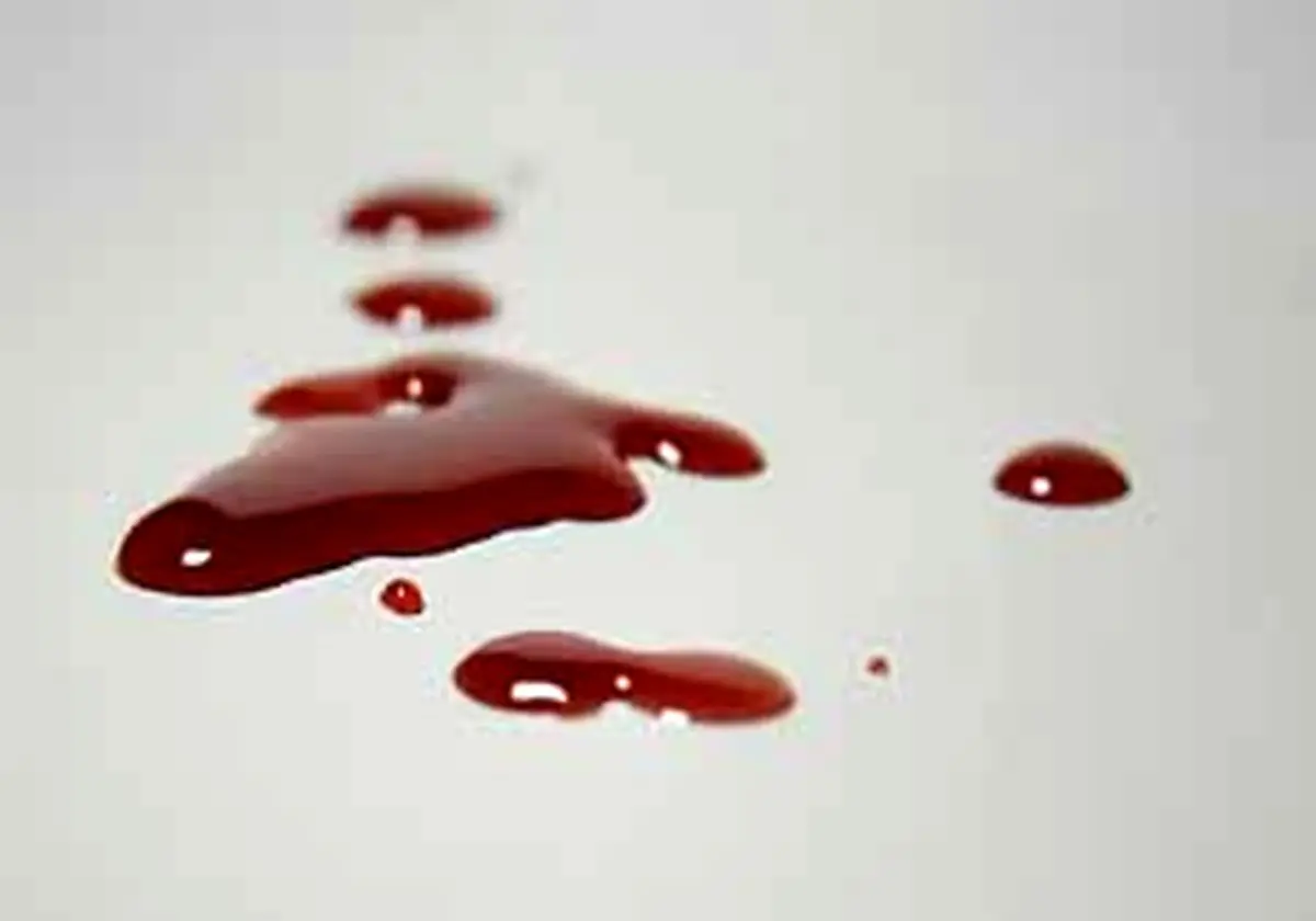 قطره های خون، عاملان سرقت مسلحانه را لو داد