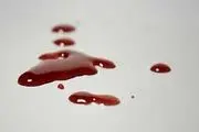
قطره های خون، عاملان سرقت مسلحانه را لو داد
