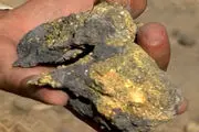 ذخایر غنی طلا در زیر زمین خاک می‌خورند