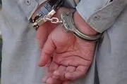
دستگیری حفارغیرمجاز امامزاده میر محمد روستای کرک
