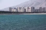 ماجرای تمساح در دریاچه چیتگر+عکس و فیلم