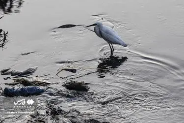 82be3e9e54bc485183125e776df260a5