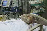 عیادت سفیر فلسطین از آیت‌الله مهدوی