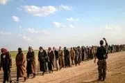 عراق ۵۰ داعشی را  تحویل گرفت