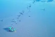 پیاده‌روی اربعین از دورترین نقطه به کربلا آغاز شد