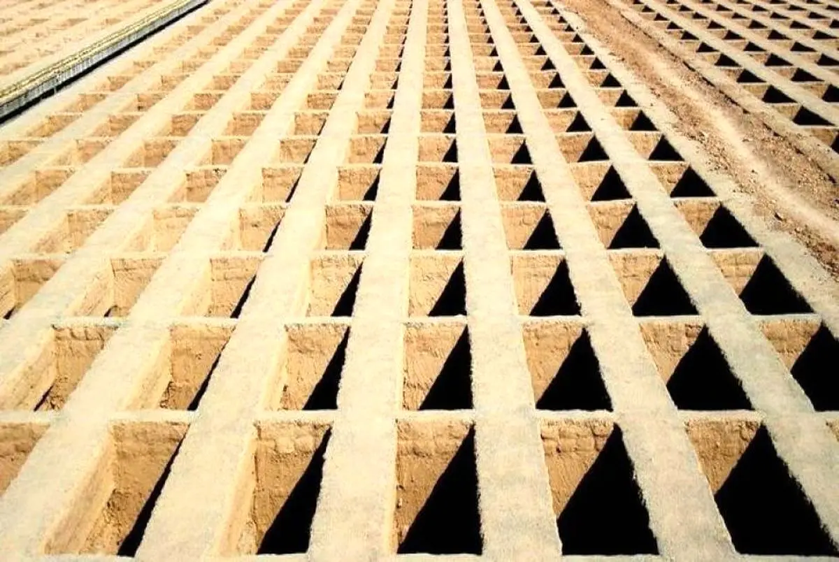 ببینید| یک قبر رایگان برای هر تهرانی!