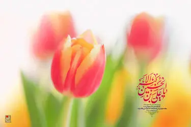 ولادت حضرت علی‌اکبر(ع)
