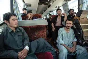 خروج ۲ هزار افغانستانی طی یک روز از ایران