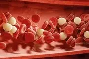 میزان چربی خون نرمال چقدر است و چگونه کنترل میشود؟