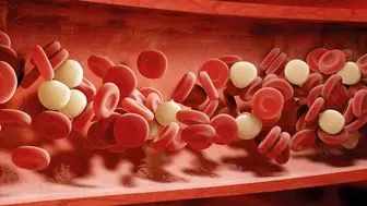 میزان چربی خون نرمال چقدر است و چگونه کنترل میشود؟
