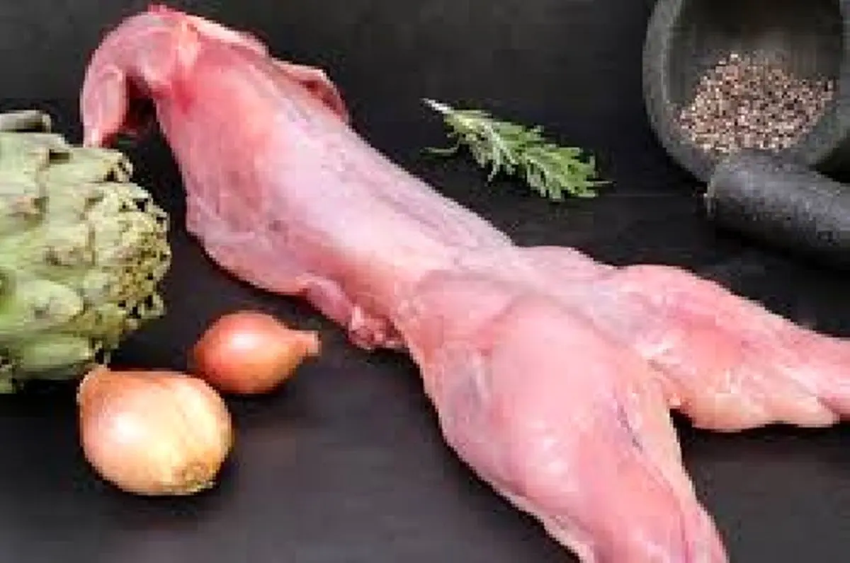 آیا خوردن گوشت خرگوش حرام است؟