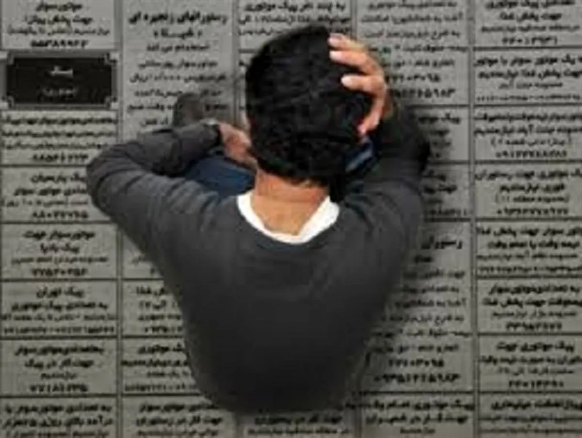 چند نفر بیکار پیدا کنید، بیکاران استان رو بشمارند!