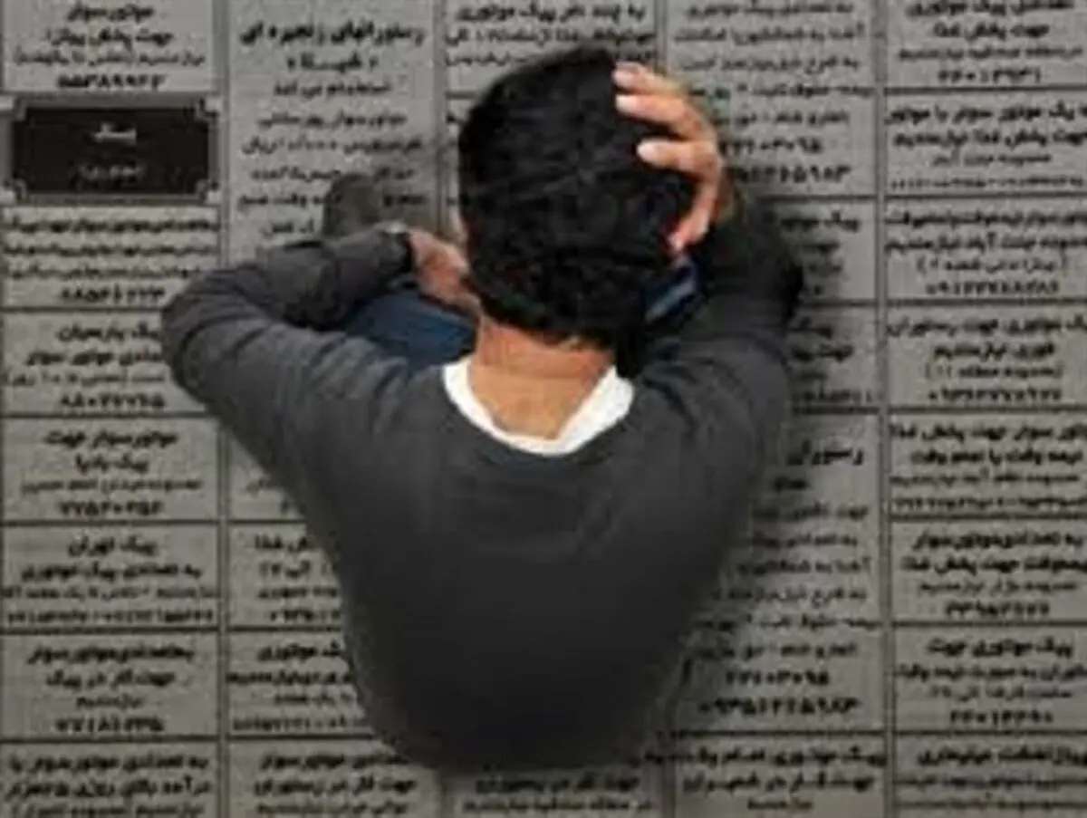 چند نفر بیکار پیدا کنید، بیکاران استان رو بشمارند!