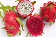 میوه اژدها/ عکس