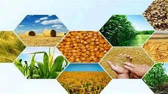 افزایش صادرات ۱۰۰ درصدی محصولات کشاورزی شدنی است
