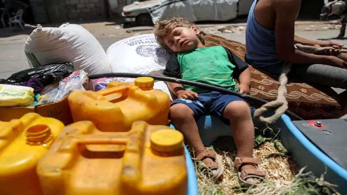 فلسطینیان در شمال غزه از گرسنگی برگ درختان را میخورند