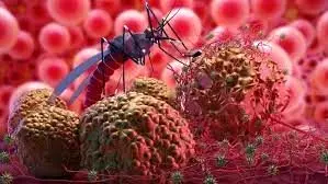 تغییر اقلیم و افزایش شیوع بیماری مالاریا