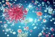 درمان جدید ویروس کرونا در دریا
