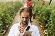 «شعله ور» به پایان راه نزدیک شد