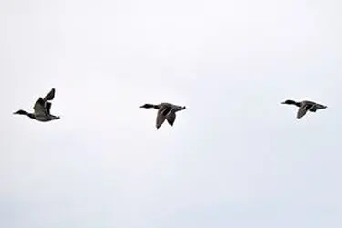 13951214001167636242323742256163_79668_PhotoU