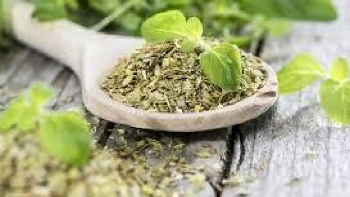 گیاهان جادویی که مشکلات ریوی و تنفسی را درمان میکنند