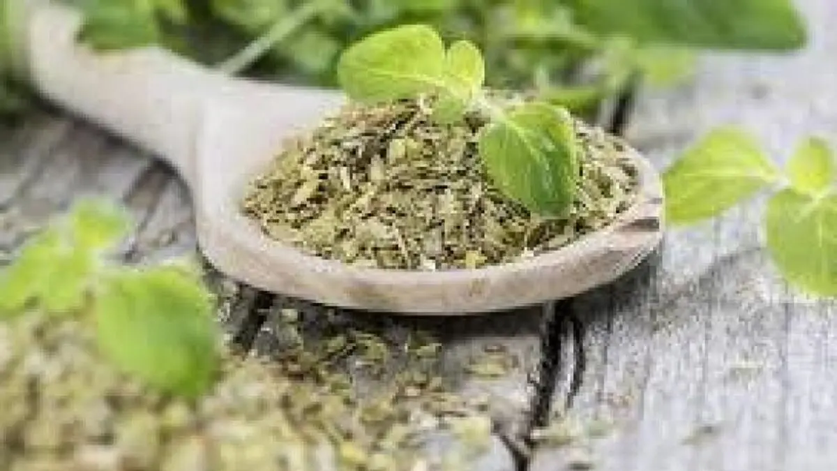 گیاهان جادویی که مشکلات ریوی و تنفسی را درمان می‌کنند
