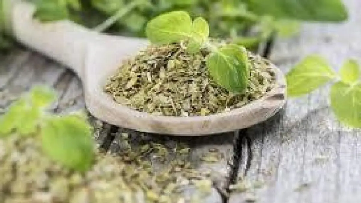 گیاهان جادویی که مشکلات ریوی و تنفسی را درمان می‌کنند
