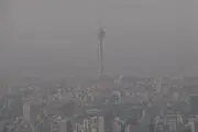 مهر آلوده در تهران