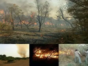 آتش سوزی گسترده در جنگل های حاشیه رودخانه کرخه شوش