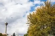 باد شدید و باران به تهران و این ۵ استان‌ می‌رسد/ تهرانی‌ها در خانه بمانند!