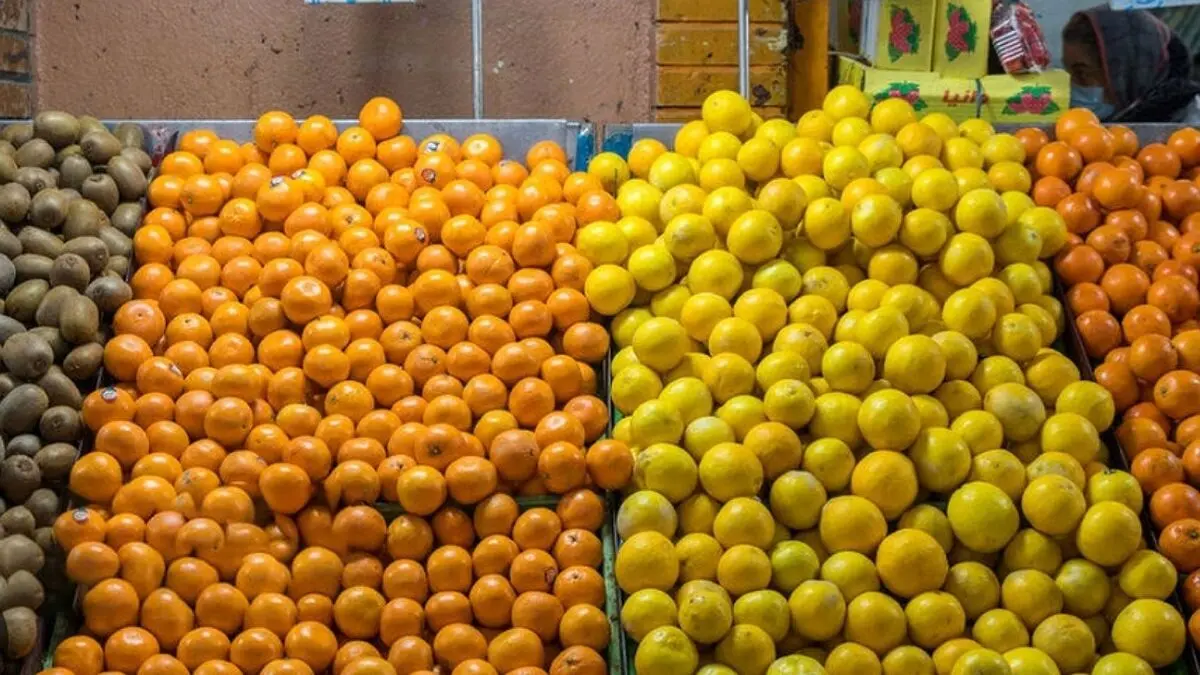 آغاز عرضه میوه شب عید از امروز در سراسر کشور