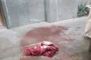 اولین فیلم از دوربین‌های مدار بسته حرم شاهچراغ و لحظه ورود تروریست داعشی 