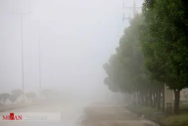 بندر مه آلود