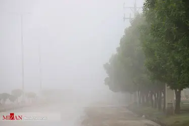 بندر مه آلود