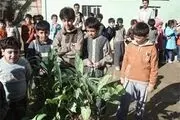 تاثیر شگفت‌آور ژن دوستان مدرسه و افراد محله بر سلامت افراد!