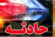  گاز پیک نیکی، گوسفندان را کباب کرد! +عکس 