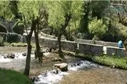 لزوم شناسنامه‌دار کردن باغات تهران