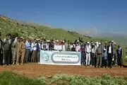 همایش بزرگ کوهنوردی در ارتفاعات کوهستان شاهو برگزار شد+تصویر