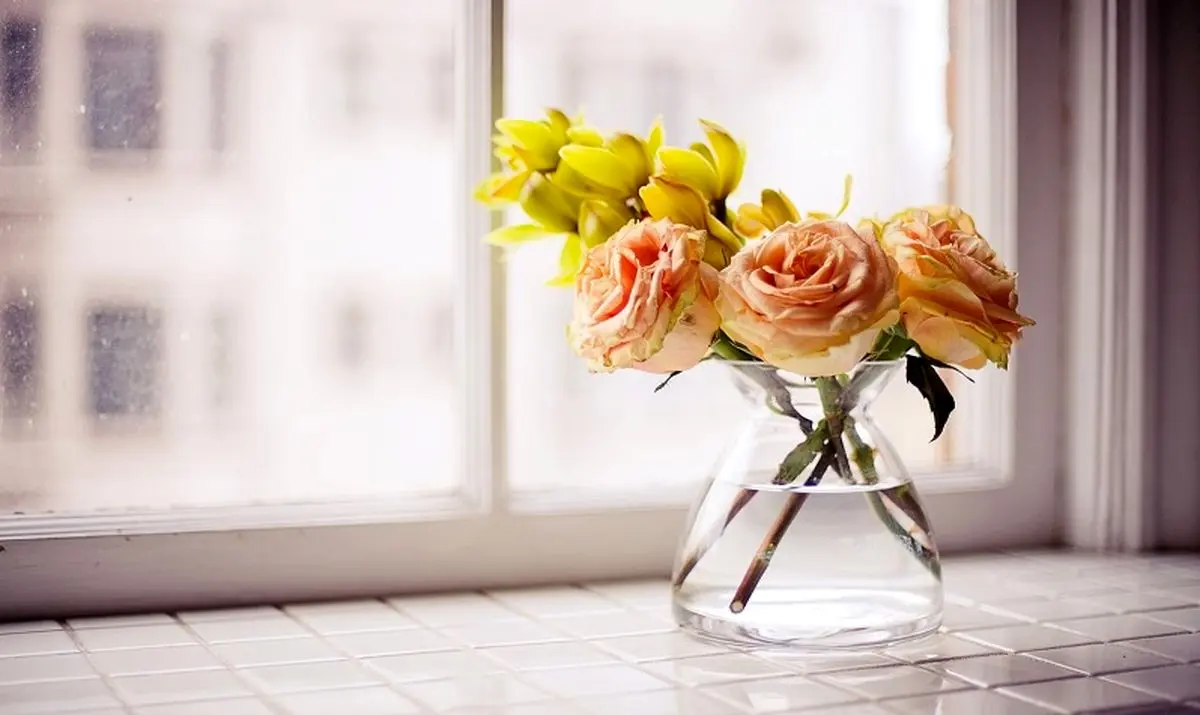 رمز و رازهای قرآنی برای موفقیت در زندگی
