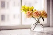 رمز و رازهای قرآنی برای موفقیت در زندگی