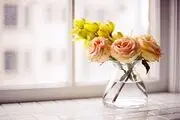 رازهای خوشبختی از زبان مولا علی (ع)