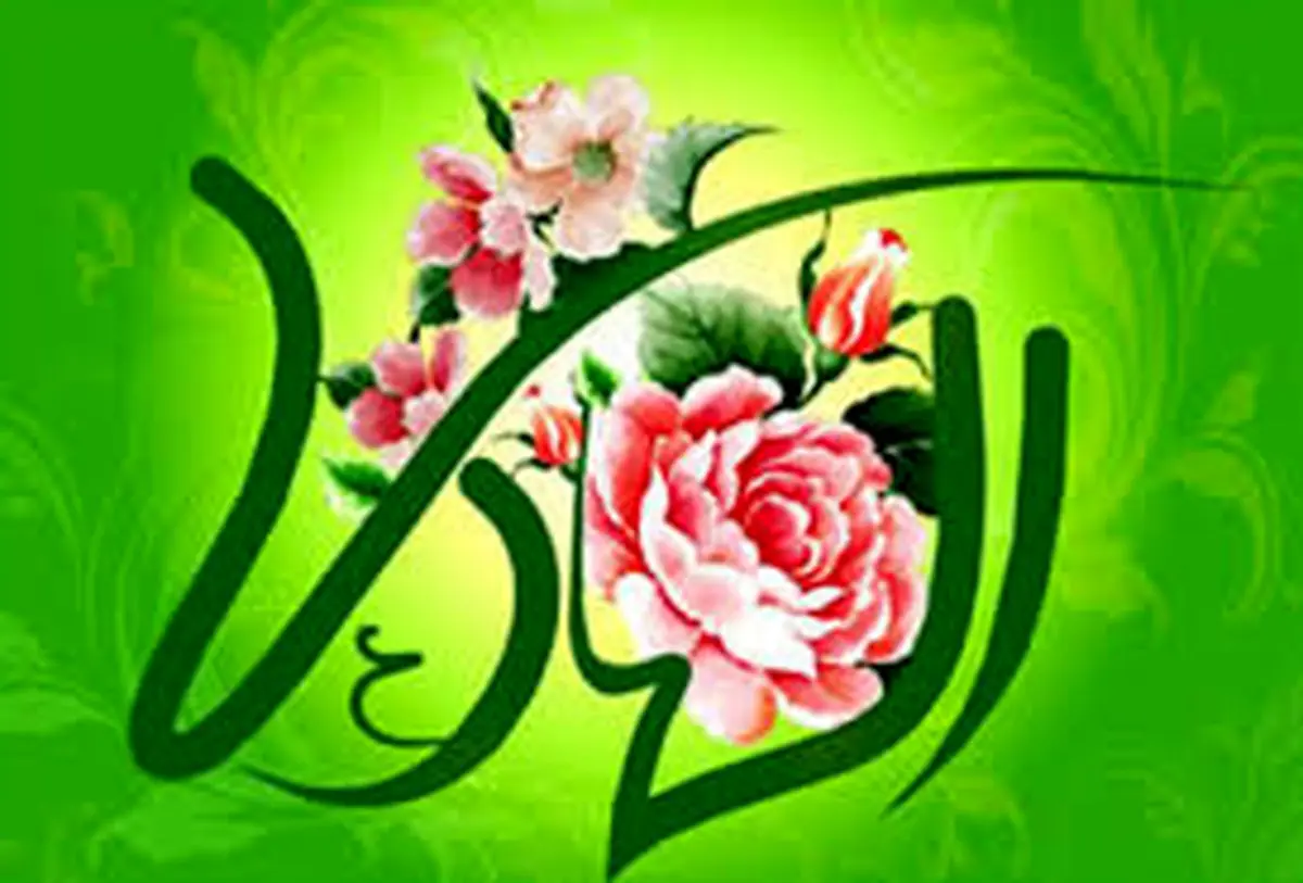 ماجرای دیدار یک آفریقایی با امام هادی (ع) چه بود؟