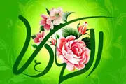 ماجرای دیدار یک آفریقایی با امام هادی (ع) چه بود؟