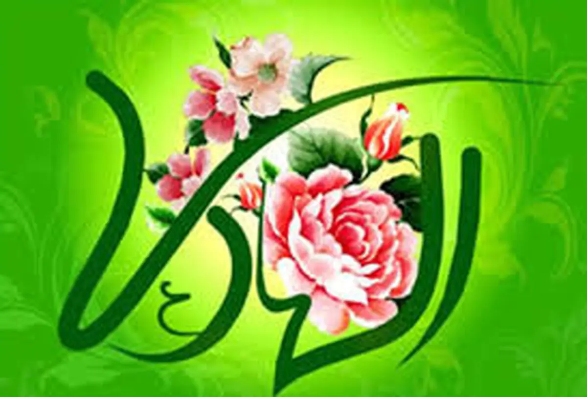 ماجرای دیدار یک آفریقایی با امام هادی (ع) چه بود؟