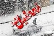 بارش شدید برف مدارس کردستان را فردا در نوبت صبح به تعطیلی
کشاند
